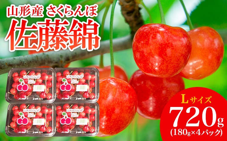 
            山形産 さくらんぼ 佐藤錦 L 720g(180g×4パック) 【令和8年産先行予約】FS25-504 くだもの 果物 フルーツ 山形 山形県 山形市 2026年産
          
