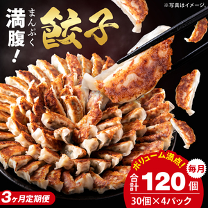 【3ヶ月定期便】満腹餃子 リピーター続出！ボリューム満点！120個（３kg ）×3回 老舗 大容量 国産 焼き餃子 冷凍 ぎょうざ ギョーザ 冷凍餃子 簡単調理 惣菜 おかず おつまみ スタミナ 高評価 水戸市 茨城県（EJ-14）