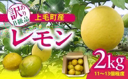 上毛町産レモン 訳ありB級品 2kg K06306