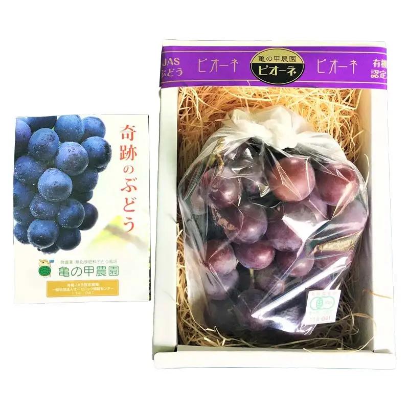 【先行予約】【農薬・化学肥料不使用】高級ぶどう 1房（600-700g） フルーツ ぶどう 葡萄 ブドウ ピオーネ 有機 無農薬 山口県 山陽小野田市 ふるさと納税 F6L-920