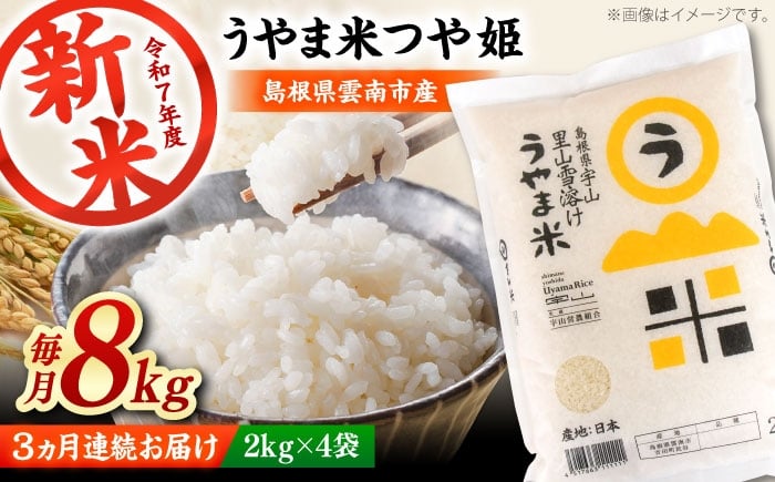 
            お米【全3回定期便】神話の里/吉田町「うやま米」つや姫 8kg（2kg×4）白米 精米 コメ おこめ お米 つやひめ 定期便 おすすめ 人気 米 ごはん ご飯 食卓 主食 ブランド米 お取り寄せ グルメ ご当地米 家族 ファミリー 一人暮らし 便利 8キロ おいしい ごはんソムリエ ミネラル 国産 新生活 お弁当 朝ごはん 朝食 昼食 ご当地 島根県雲南市/有限会社藤本米穀店 [AIDB090]
          