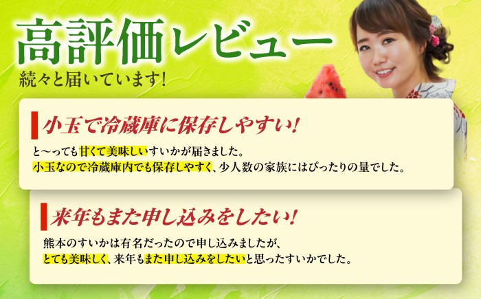 小玉 すいか 2玉 スイカ 西瓜 くだもの 人気 季節物 新鮮 産地直送 糖度 高品質 特産 種類 山鹿市 くまもと 熊本県産