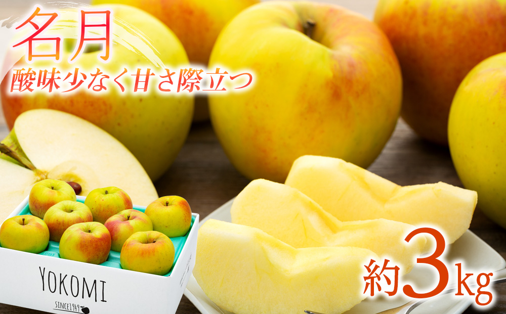
             りんご 名月 3kg 2025年 令和7年発送 酸味が少なく甘さが際立つおいしいりんご 林檎 リンゴ 果物 くだもの フルーツ 旬の果物 旬のフルーツ 信州 長野 長野県 　[№5675-1364]
          