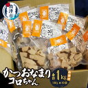 【ふるさと納税】 かつお なまり節 小袋 詰め合わせ 100g×10p 無添加 自然食 静岡 焼津 a15-653