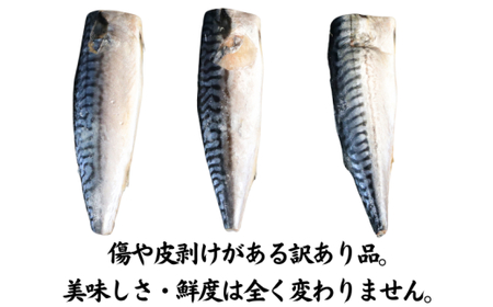 訳あり 食塩不使用 さば 3.5kg 【12月以降配送】 さば