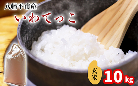 新米 先行予約 【令和8年産】 いわてっこ 玄米 10kg （5kg×2袋）《2026年11月中旬より順次発送開始予定》 ／ げんまい 岩手県産 中沢農産