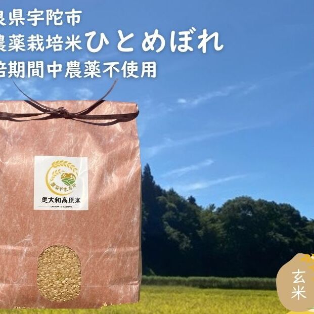 【定期便12回】ひとめぼれ 低農薬栽培＜令和7年産 玄米 2kg ＞ / ふるさと納税 低農薬 米 お米 こめ コメ 国産 新米 玄米 一等米 農家やまおか 奈良県 宇陀市