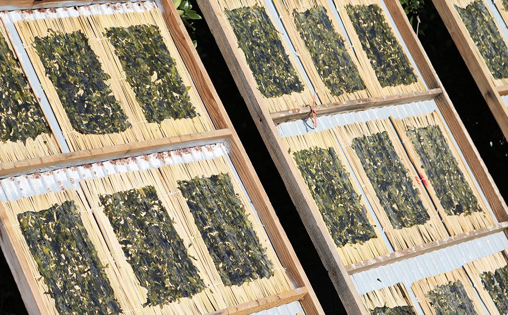 海苔のように板状に乾燥させたものは、なんと１枚千円～二千円という市場価格で流通しています。