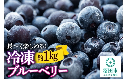 冷凍ブルーベリー 約1kg【群馬県沼田市利根町産】 [季節を問わずブルーベリーを楽しめます！ 新鮮 冷凍 ブルーベリー 長期保存 料理 スイーツ 栄養満点 ビタミン 食物繊維 スムージー ジャム フルーツ 果物]