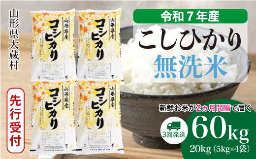 ＜令和7年産米先行受付＞ 令和8年5月中旬より発送 大蔵村産 こしひかり【無洗米】60kg定期便(20kg×3回)　