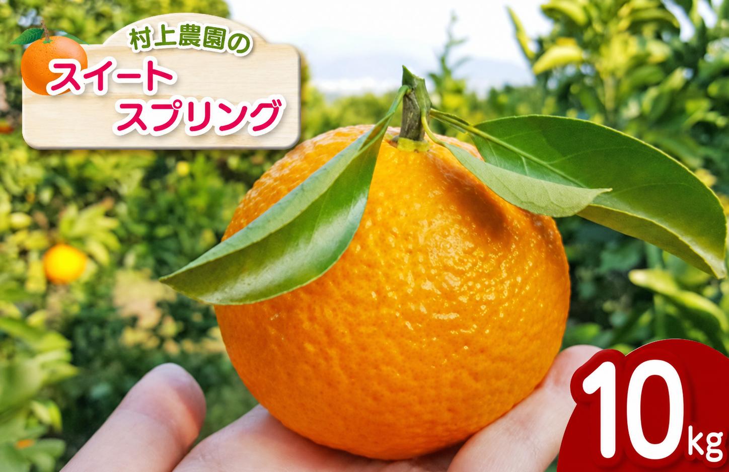 
                  『 村上農園 』 スイートスプリング 10kg | フルーツ 果物 くだもの 柑橘 柑橘類 みかん ミカン スイートスプリング 熊本県 玉名市
                