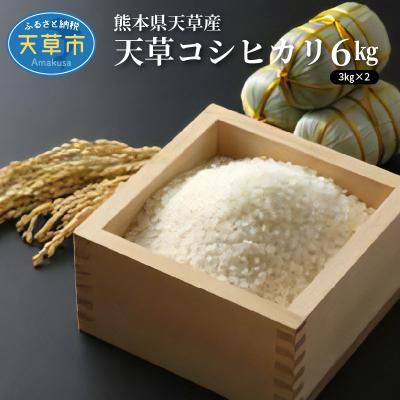 ふるさと納税 天草市 〈令和8年産〉熊本県天草産　天草コシヒカリ6kg(3kg×2)_S109-003A