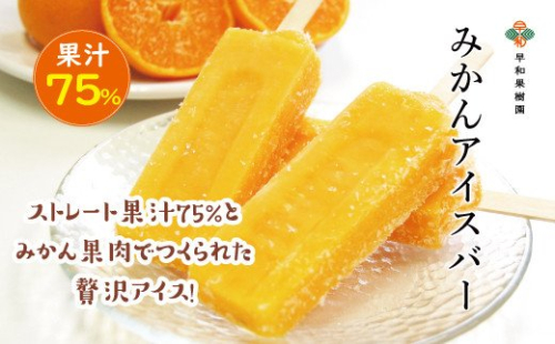 495.【早和果樹園】みかんアイスバー（氷菓）30本入（A495-3）