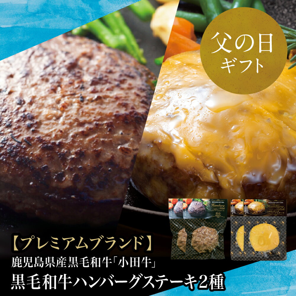 【ふるさと納税】【父の日ギフト】プレミアムブランド 鹿児島県産黒毛和牛「小田牛」 牛肉100％ 2種類のハンバーグステーキ 計4個（120g×各2個）チーズハンバーグ 牛肉 総菜 おかず レトルト 黒毛和牛 和牛日本一 小田畜産 冷凍 南さつま市 贈り物 ギフト 贈答用 送料無料