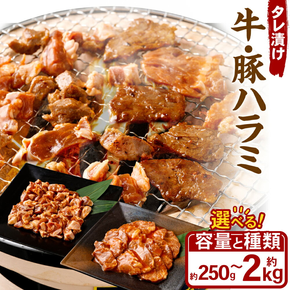 【ふるさと納税】【選べる容量・種類】タレ漬け 牛ハラミ・豚ハラミ 食べ比べセット 各250g×1～4パック 計500g～2kg 豚ハラミ 250g×1～4パック 計250g～1kg お肉 肉 牛肉 豚肉 はらみ ハラミ 味付け肉 たれ漬け BBQ 焼肉 セット 詰め合わせ 冷凍 岡山県 奈義町 送料無料
