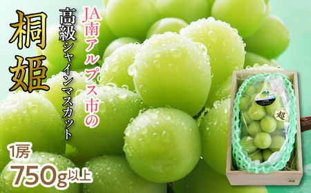 ＜2026年発送先行予約＞【特別厳選品のため数量限定】シャインマスカット「桐姫」 ALPAA048　| 山梨県 ぶどう 葡萄 ブドウ マスカット 種なし 大粒 フルーツ くだもの 果物 高級 新鮮 産地直送 贈答 ギフト 家庭用 2026年 |