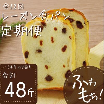 ふるさと納税 室戸市 【12回定期便】レーズン食パン4斤×12回