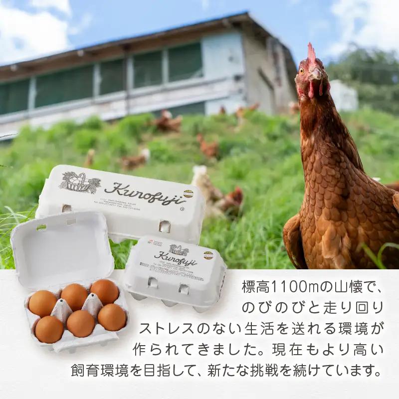 甲州放牧卵の定期便 18個×10回　F-503【卵 たまご 放牧卵 定期便】