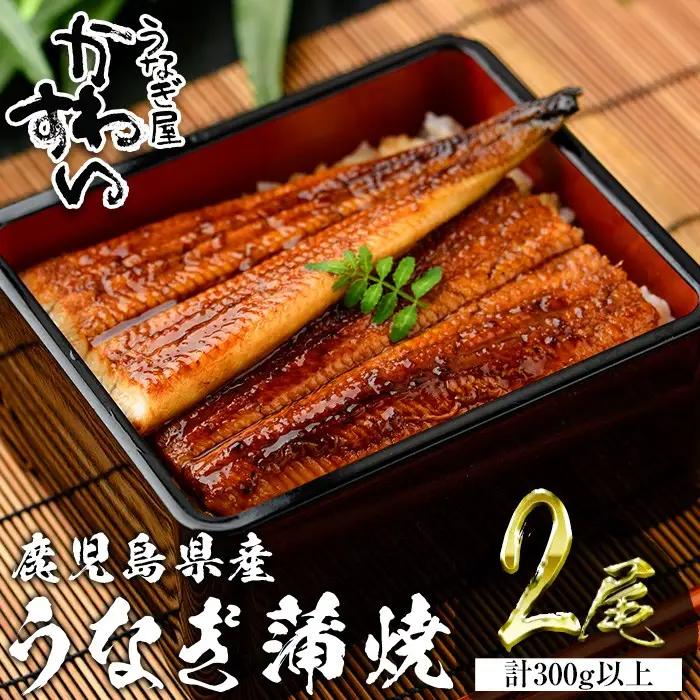 ＜うなぎ屋かわすい＞鹿児島県産 国産 うなぎ 蒲焼 タレ 鰻 うな重 かばやき 計300g 以上 150～169g×2本【川口水産】A854