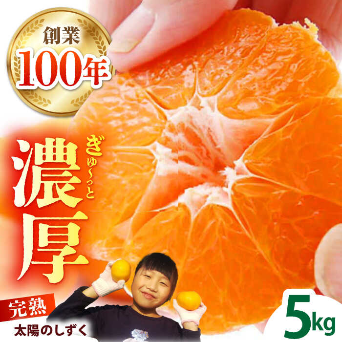 【ふるさと納税】【11月〜12月発送】タッチの甘熟 早生みかん 太陽のしずく 5kg【夢の甘熟みかん タッチ】[HCE001] / 食品 フルーツ・果物 みかん フルーツ 果物 佐賀みかん 温州みかん 佐賀県 佐賀 年内発送 年内 先行予約