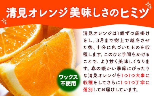 清見オレンジ ノーワックス 有田育ちの完熟清見オレンジ 約5kg 有田マルシェ ご家庭用《2027年2月下旬-5月上旬頃出荷》和歌山県 日高町 清見オレンジ 柑橘 柑橘類