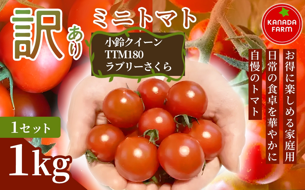 
                  《先行予約》【お得に楽しめる家庭用】訳ありミニトマト 1㎏ 1セット 3セット 野菜 規格外 お買い得 自宅用 たっぷり まとめ買い 大容量 新鮮 旬 食材 お取り寄せ 愛知県 豊橋市
                
