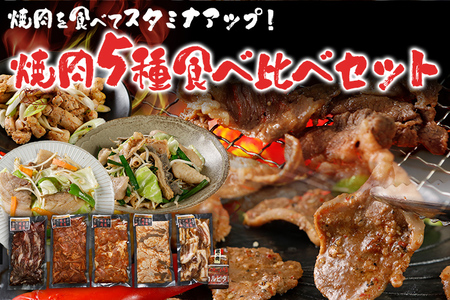 焼肉 5種食べ比べセット 2kg 400g×5パック 焼肉セット