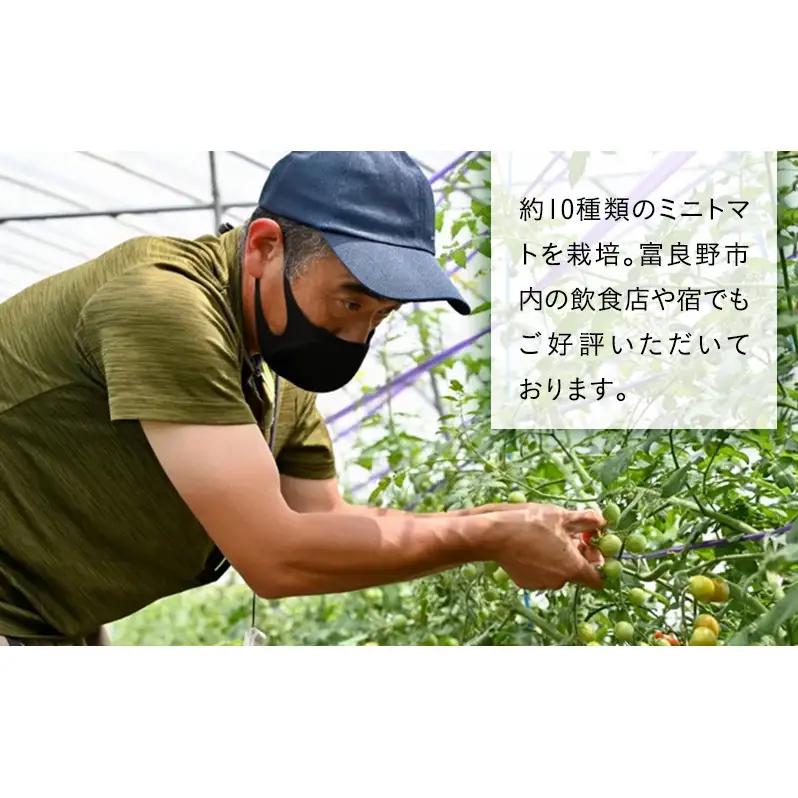 【2026年7月より発送】北海道 富良野市産 完熟ミニトマト（キャロル10）約1kg トマト 甘い 野菜 新鮮 数量限定 先着順 【藏ファーム】