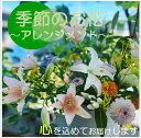 【ふるさと納税】長門産 季節 お花 お届け便 花 フラワー 山口県 アレンジメント 贈り物 ギフト イベント (1016)