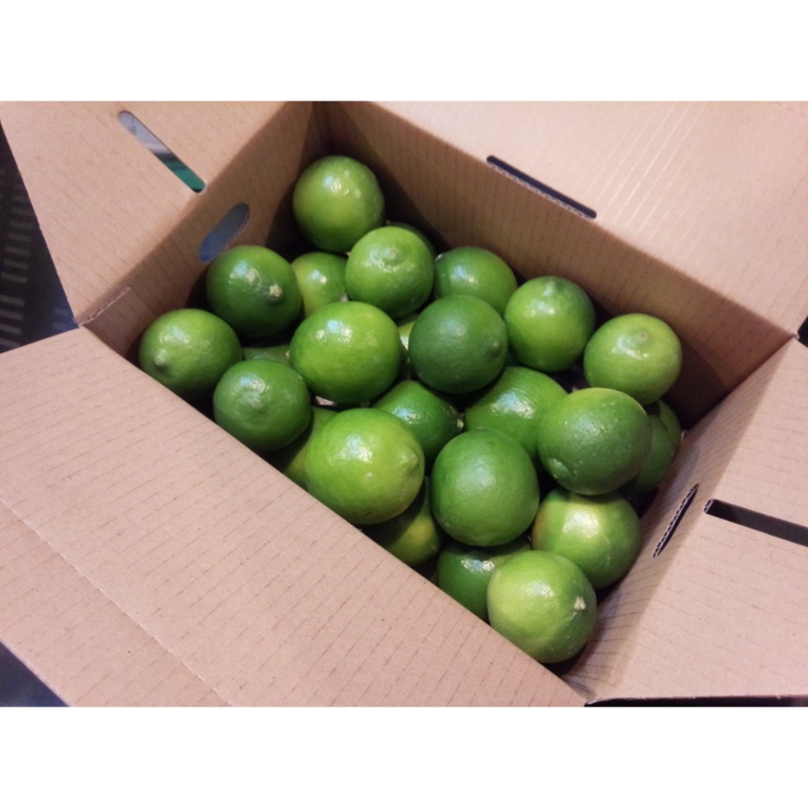 愛媛県産　ライム3kg