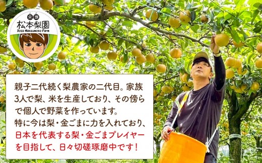 余瀬松本梨園 梨 豊水5kg 箱≪8月中旬～10月頃発送≫