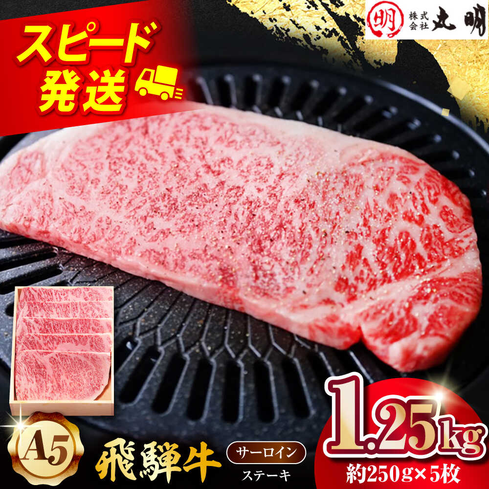 【ふるさと納税】【A5等級】 飛騨牛 サーロインステーキ用 1.25kg(約250g×5枚) 多治見市 / 飛騨牛の丸明 冷凍 和牛 赤身 霜降り 希少部位[THL009]