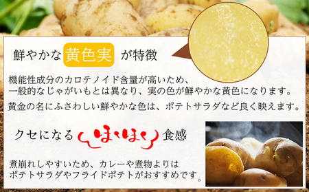 BH048 じゃがいも 希少品種 ながさき黄金 S〜2Lサイズ混合 約5kg [ 贅沢宝庫 長崎県 島原市 ]