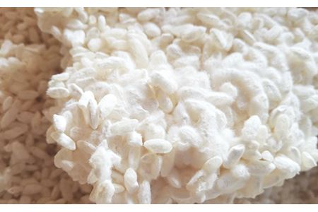 Dry&Creamy！酵母が活きた生どぶろく「Cantabile」700ml瓶×2本