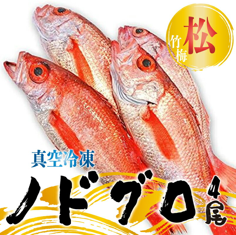 【ふるさと納税】 ノドグロ 4尾セット 1.2kg 以上 1尾 約300g以上 新潟 日本海産 高級魚 新鮮 真空 急速冷凍 冷凍 魚介類 日本海 新潟産 国産 松竹梅【松】uomizushima003