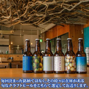 【クラフトビール】 おまかせ12本セット クラフトビール【HJB004】