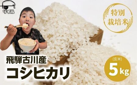 令和8年産コシヒカリ 玄米 5kg / 新米 米 こしひかり ソイル