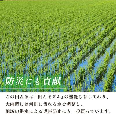ふるさと納税 西予市 新米<令和7年産 愛媛県西予市産 コシヒカリ 田んぼダム米 5kg選べる 5キロ こしひかり |  | 01
