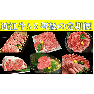 【ふるさと納税】近江牛A5等級の定期便【年6回お届け・隔月】　お届け：ご入金の翌月に初回を発送、その後は隔月での発送となります。