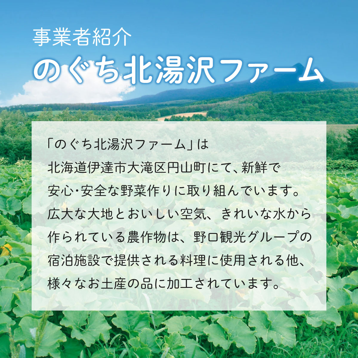 ファーム 特製 ベジバター セット 3種 バタージャム かぼちゃ とうもろこし さつまいも 北海道 伊達市 のぐち北湯沢ファーム_イメージ4