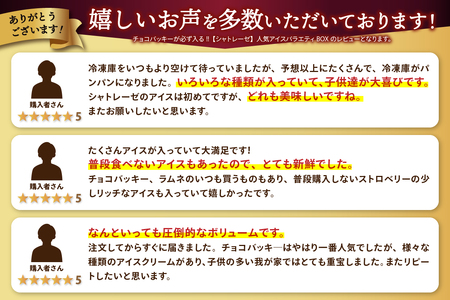 〈2024年3月配送〉チョコバッキーが必ず入る!!【シャトレーゼ】人気アイスバラエティBOX