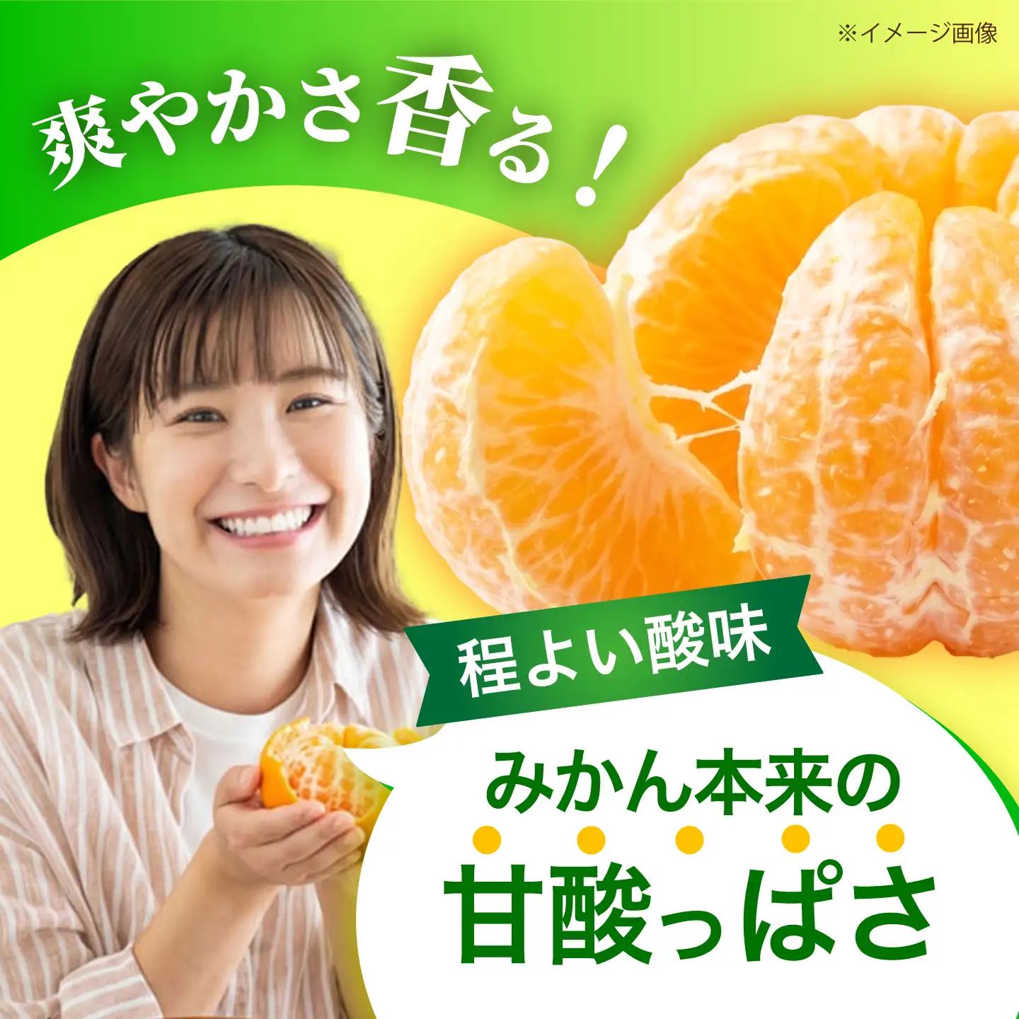  極早生みかん 5kg [CCZ001] みかん