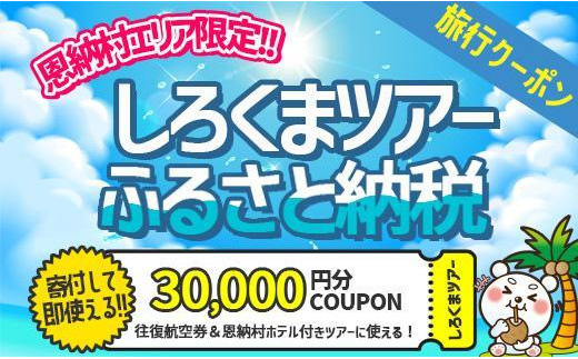 
【恩納村】しろくまツアーで利用可能なWEB旅行クーポン（30,000円分）
