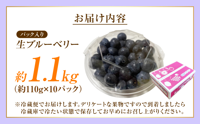 ブルーベリー 生ブルーベリー110ｇ×10パック【7月上旬から8月下旬まで順次発送】 / 冷蔵 フルーツ 果物 ブルーベリー 生 ジャム スムージー ドリンク / 愛媛県砥部町/西岡さん家のみかん園 