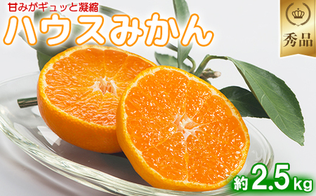 【期間限定発送】今村農園のハウスみかん 約2.5kg【秀品】 2025年 7月 夏 発送 果物 期間限定 九州 ＜107-007_7＞