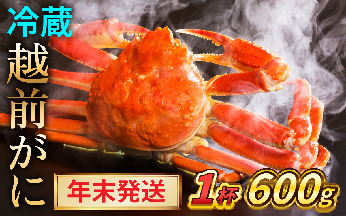 
            【先行予約/12月24日より順次発送】【年末希望】 越前がに 600ｇ×1ハイ ズワイガニ ずわいがに ボイル 冷蔵 小浜市 / まるほ商店 【配送不可地域：北海道・沖縄・離島】[BFCS033]
          