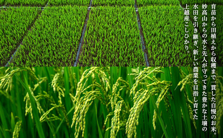 【先行予約　10月中旬より順次出荷】令和7年産　上越産こしひかり『和泉』10kg 6回定期便 上越市 精米 米 ギフト 喜ばれる