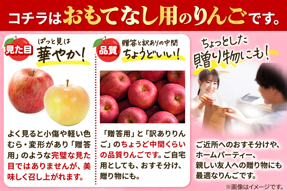 りんご 【先行受付】平均糖度12度以上！ 早生ふじ 約5kg おもてなし用