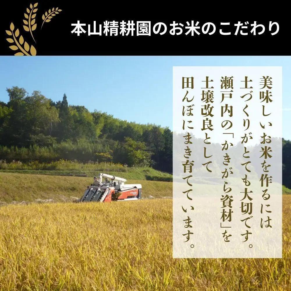 【先行予約】令和８年産 鏡野町産 きぬむすめ 精米10kg（5kg×2袋）【035-a015】