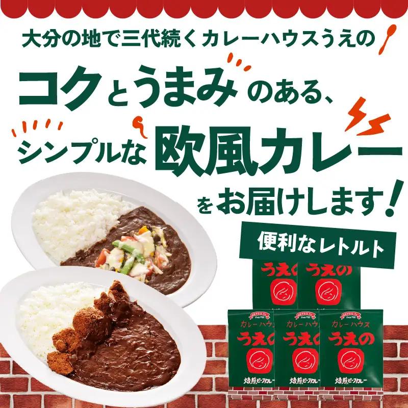 九州クラフト うえの焙煎ビーフカレー レトルト 5袋 K03043